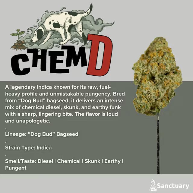 Sanctuary - Flower 3.5g - Chem D