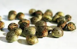 Seeds category image