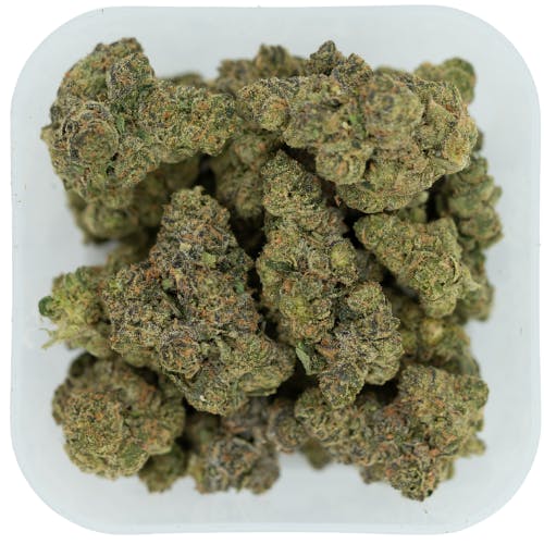 Product Image Alt
