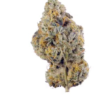 image of White Wedding Haze | 14g Flower