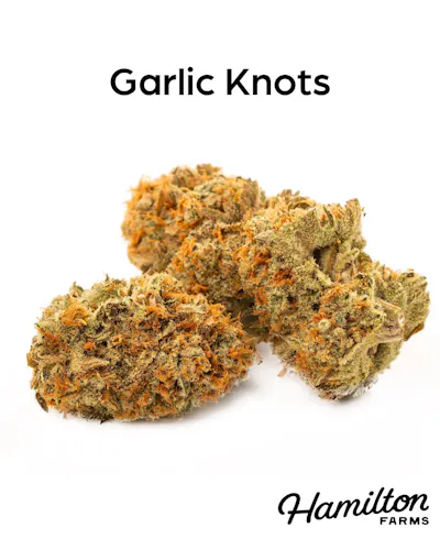 Hamilton Farms | PreRolls | Garlic Knots | 2pk/1g-5