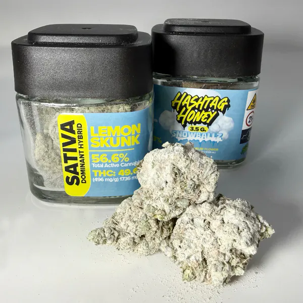 at High Society Dispensary - Hudson Falls