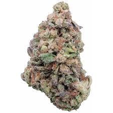 Wolverine-Buckeye WOLVERINE BUCKEYE ENTERPRISES | GLITTER BOMB | BULK | HYBRID — FLOWER