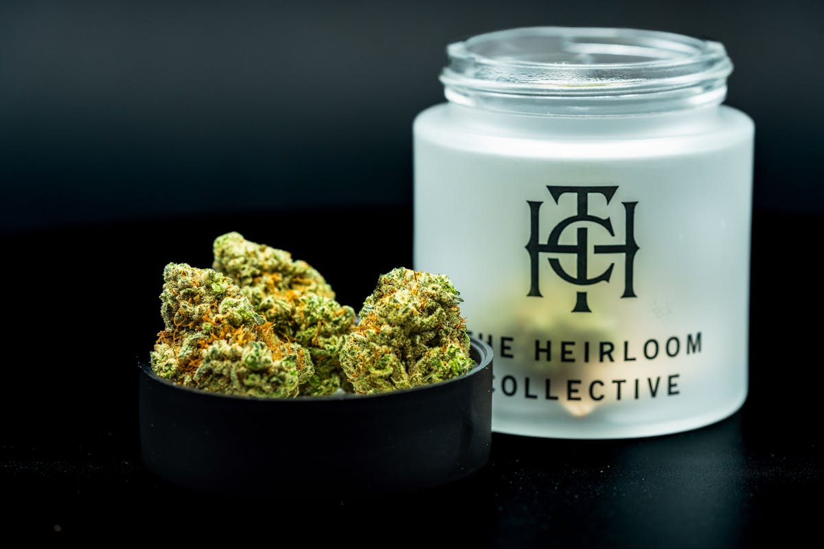 Photo of Grape Pie BX1 Flower The Heirloom Collective