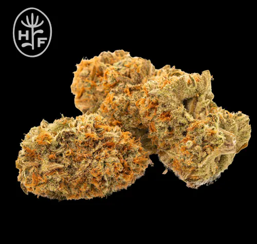 Hamilton Farms | Mixed Buds | Garlic Knots | 7g-1