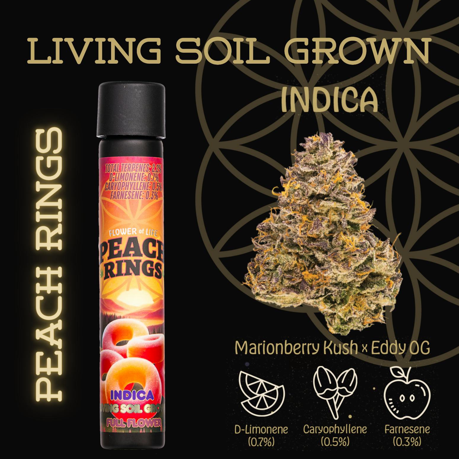 Product: Flower of Life | Pre-Roll - 1g - Peach Rings