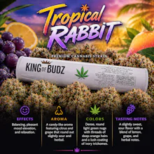 KOB - 1g Preroll - Tropical Rabbit