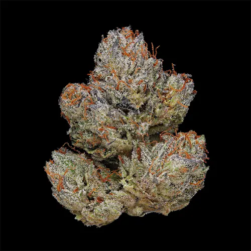 Clade9 | Figueroa OG | Single Pre-Roll | 1g-1