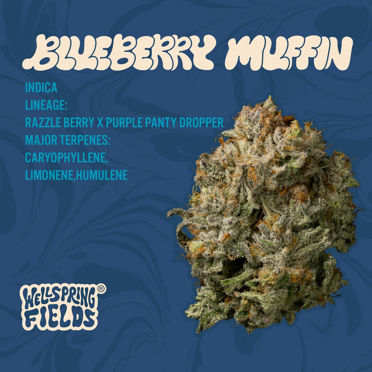 Photo of Blueberry Muffin