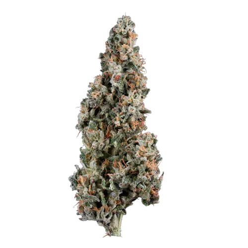 Baya Dulce Smalls 7g – Grassroots (Pre-Pack)-active