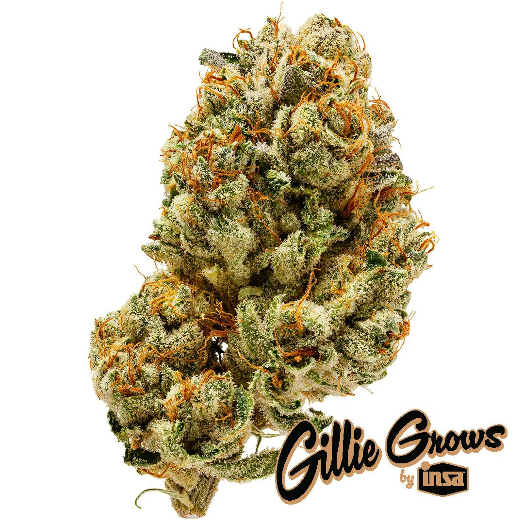 Buddie Ryan Whole Flower