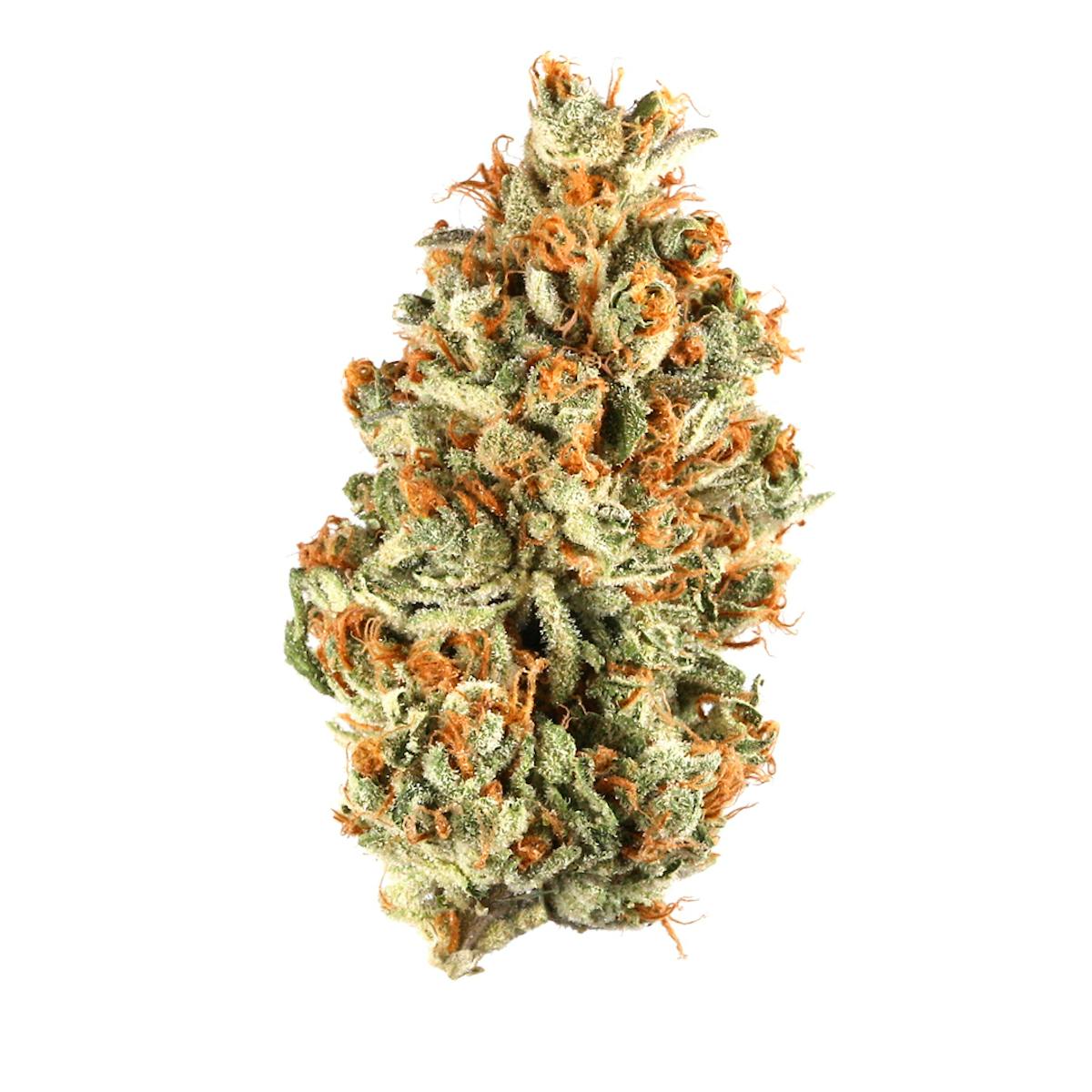 Photo of Tally Man (Oregon Cannabis Collective)