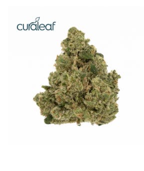 CANNABIS LADIES - nicochiroさま専用♡ Buy Auto Northern Lights x Blueberry Strain | I49 Seed Bank