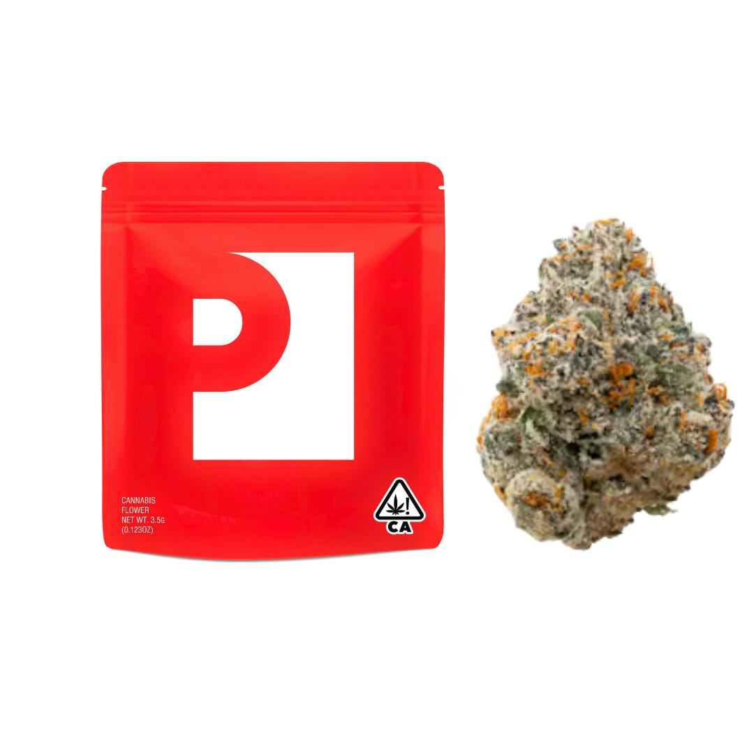 GELATO 41