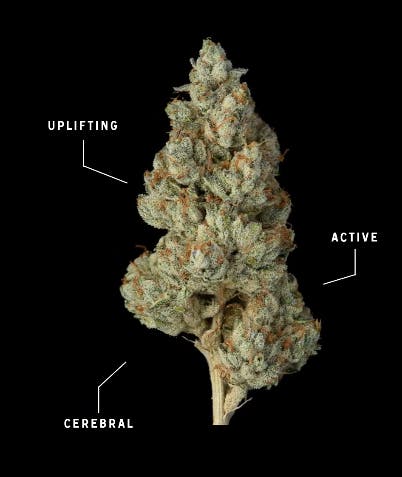 Khalifa Kush Nug-Roll 1g-1