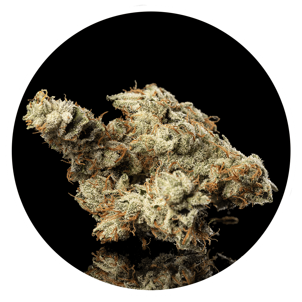 Product So Dope - Gorilla Glue - 3.5g - Indoor Flower