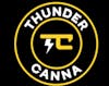 3/$20 Thunder Canna Vapes 