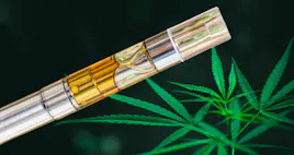 Vaporizers category image