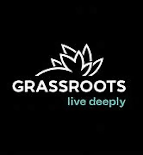 Grassroots 50mg Full Spectrum RSO Capsules 0.5g/500mg-active