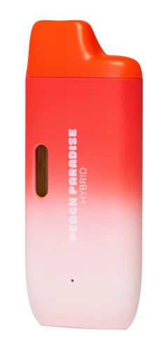 Peach Paradise | Disposable Pen | 2g-active