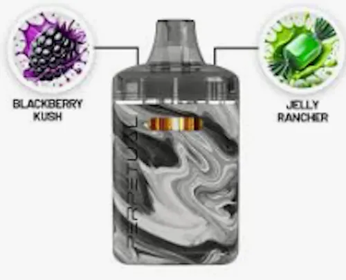 Jelly Rancher & Blackberry Kush (H) – Dual Disposable Vape l (2g)-1