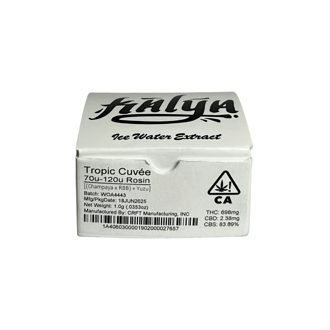 TROPIC CUVEE ROSIN (70U-120U)