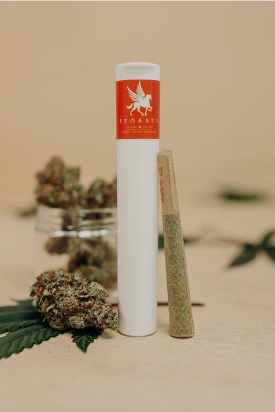 Product: Rainbow Rocket | Pegasus