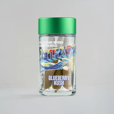 Jetpacks - 5 Pack .6g Infused Prerolls - Blueberry Kush - PRE_ROLLS by Jetpacks at King of Budz