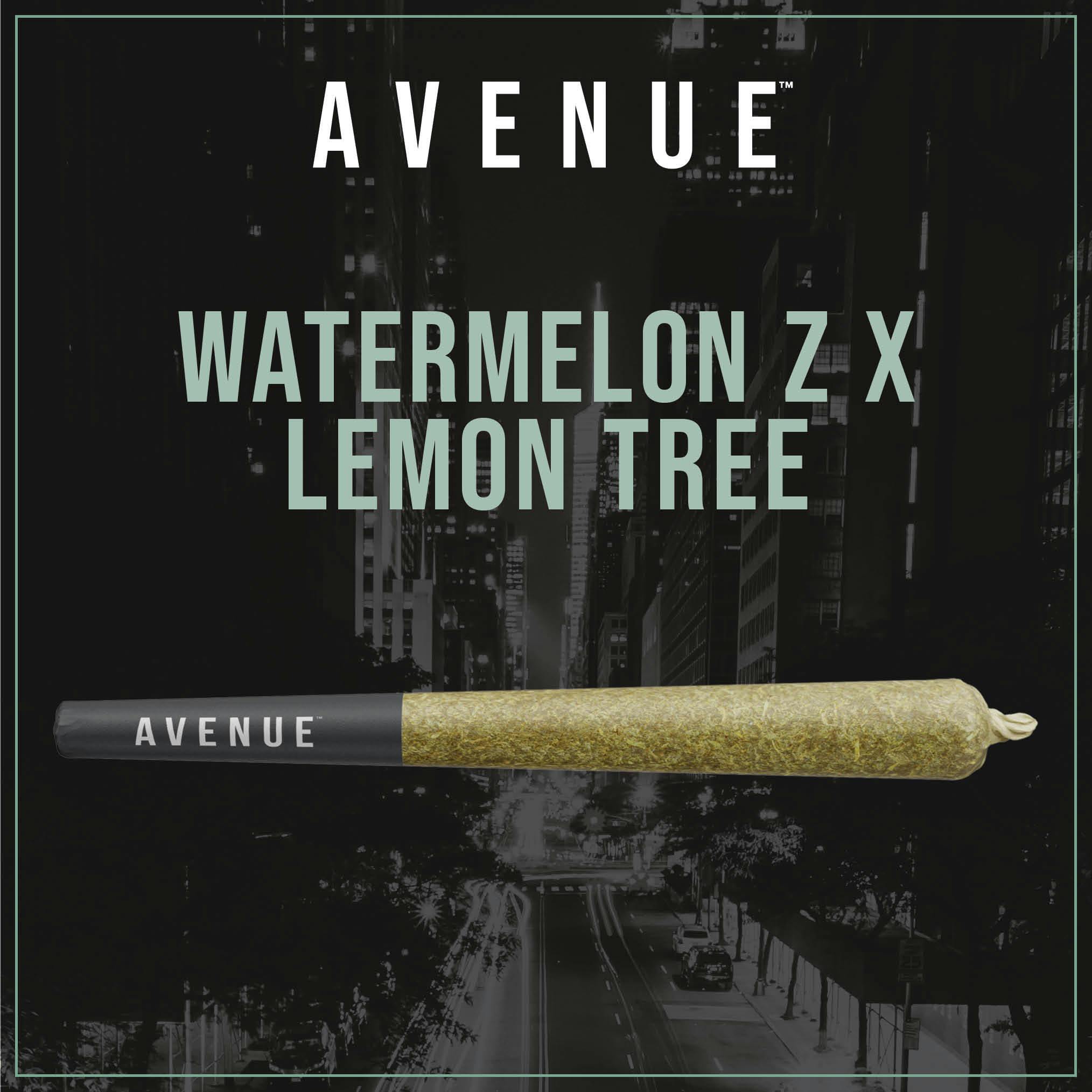 Trulieve Storefront | AVENUE: Watermelon Z x Lemon Tree Pre-Roll