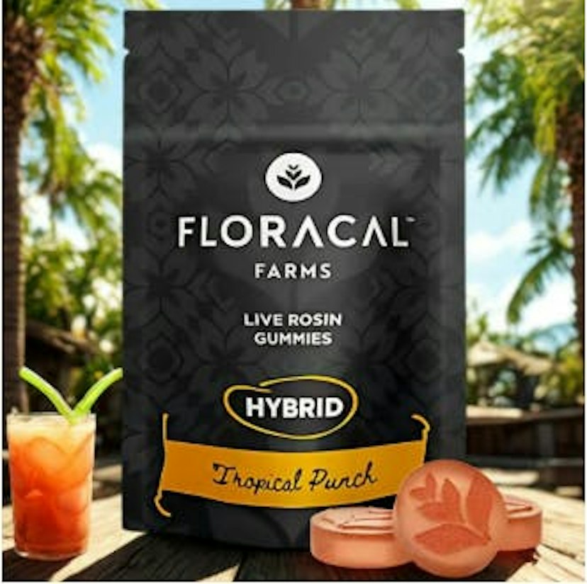 FLORACAL | 200MG LIVE ROSIN GUMMIES | TROPICAL PUNCH (HYBRID)