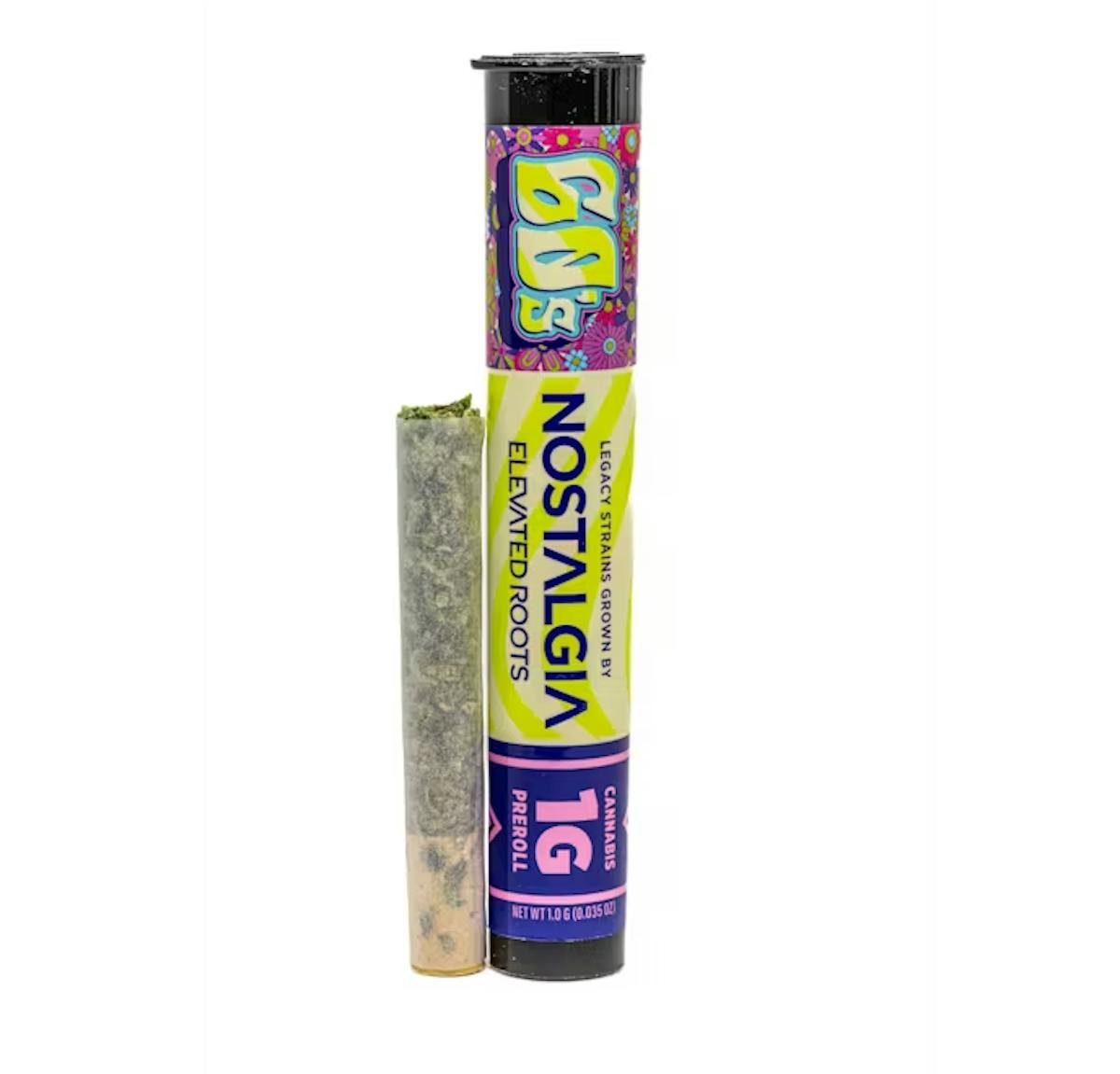 Image of Purple Haze | 1g Preroll
