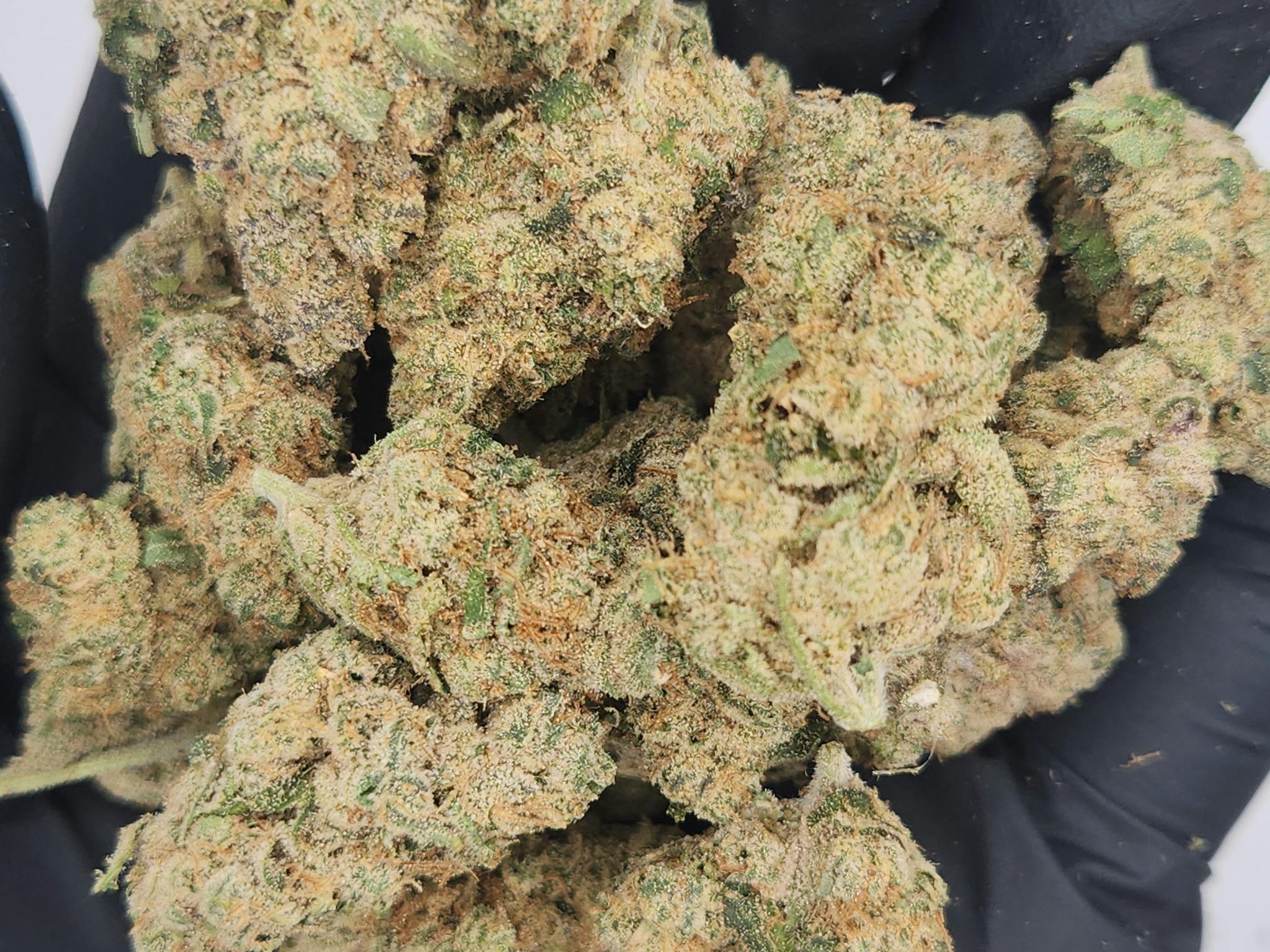 KAI | Bulk Bud - Modified Banana Pebbles