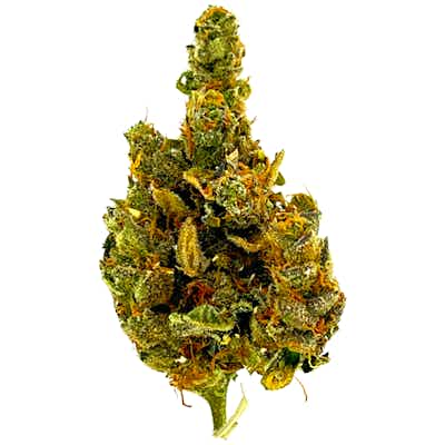 Product: Glorious Cannabis Co. | Feels Faded | Hot Lanta | 3.5g