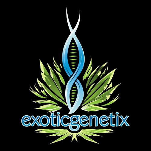Product: EXOTIC GENETIX | BLUEBERRY GARY | MOONROCK | BULK | HYBRID