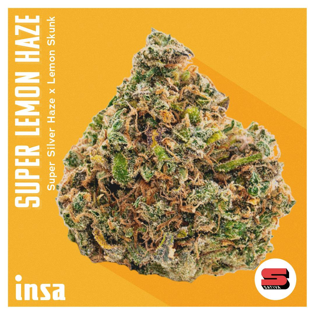 Flower - Super Lemon Haze