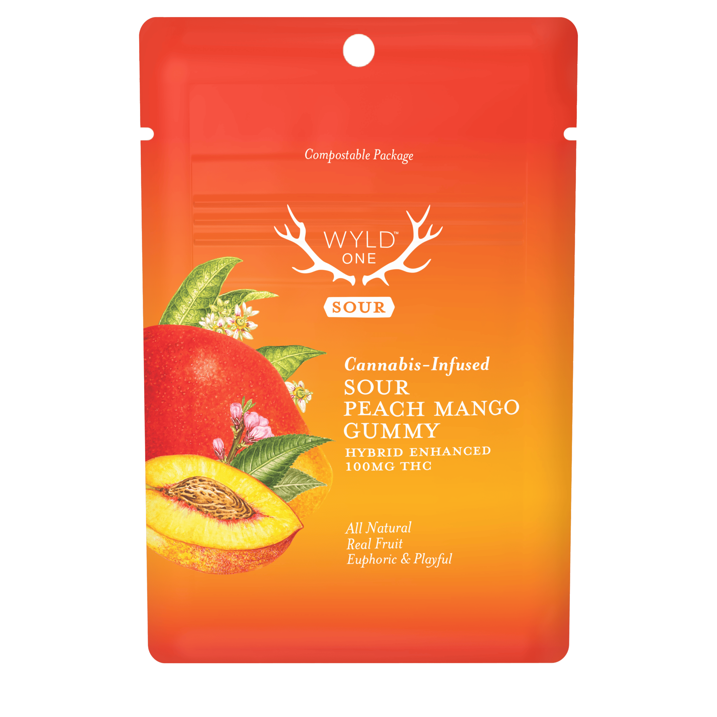 WYLD One Gummies 1:1 (THC/CBN) 100mg - Sour Blueberry (I)
