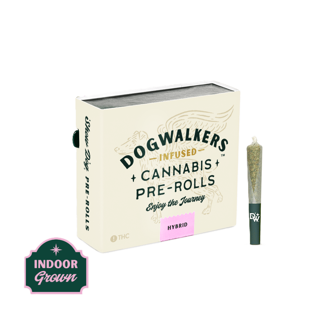 Stay | Gelato Ak | Infused | 5pk