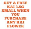 Buy Any KAI flower, get a free smalls eighth 