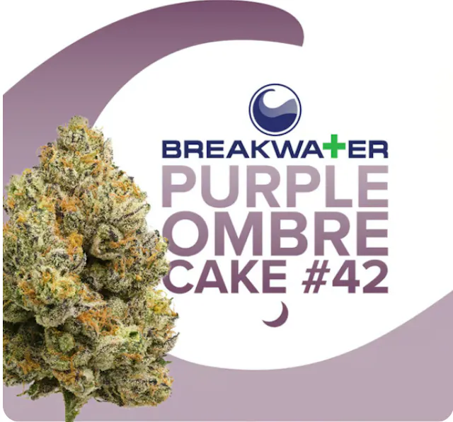 Breakwater Flower Purple Ombre Cake #42 3.5g (indica)