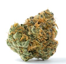 Birthday Cake Distro 10 Flower Bloom City