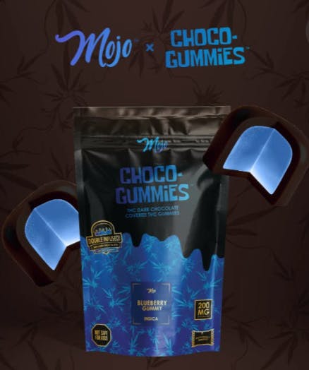 Product: Mojo | Choco-Dorks - 200mg - Book Worm Raz Apple