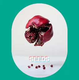 Seeds category image