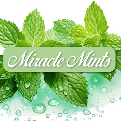 DELI - Miracle Mints - FLOWER by Hammon Tree Growers at King of Budz