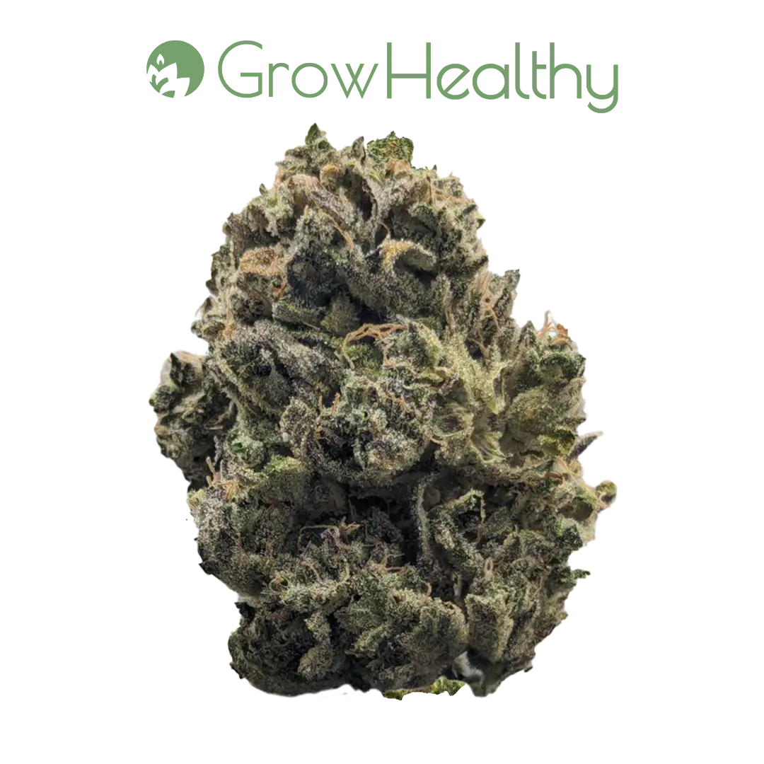 Cannabis Deals in Cape Coral, FL | Daily Specials