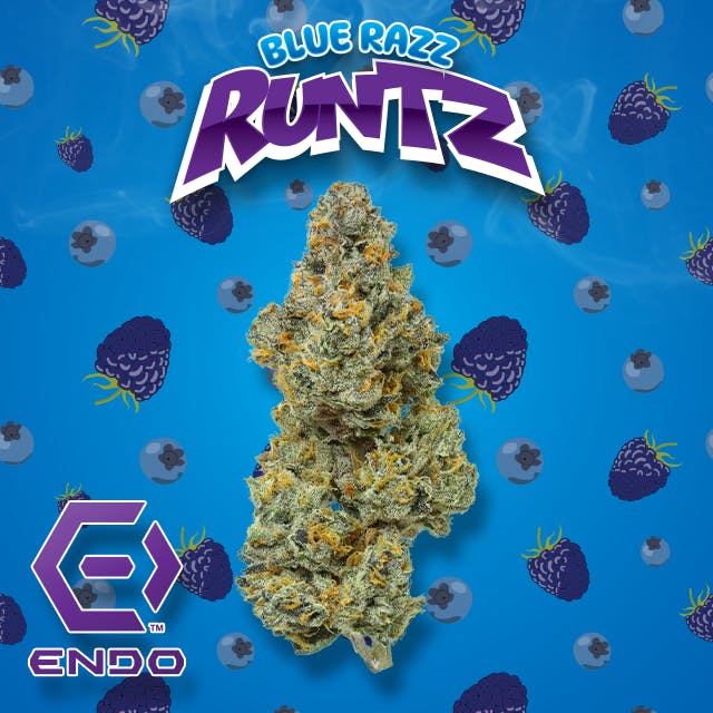 DELI - Endo - Blue Razz Runtz