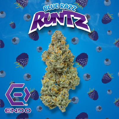 DELI - Endo - Blue Razz Runtz - FLOWER by Endo at King of Budz