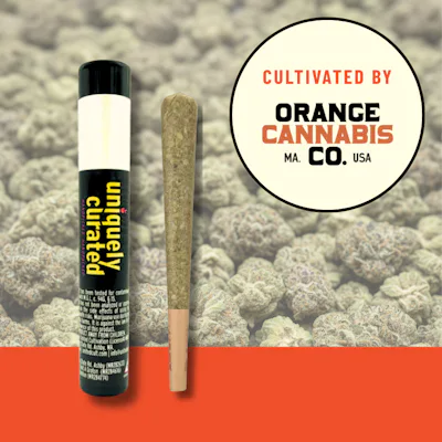 White Widow | 1g 510