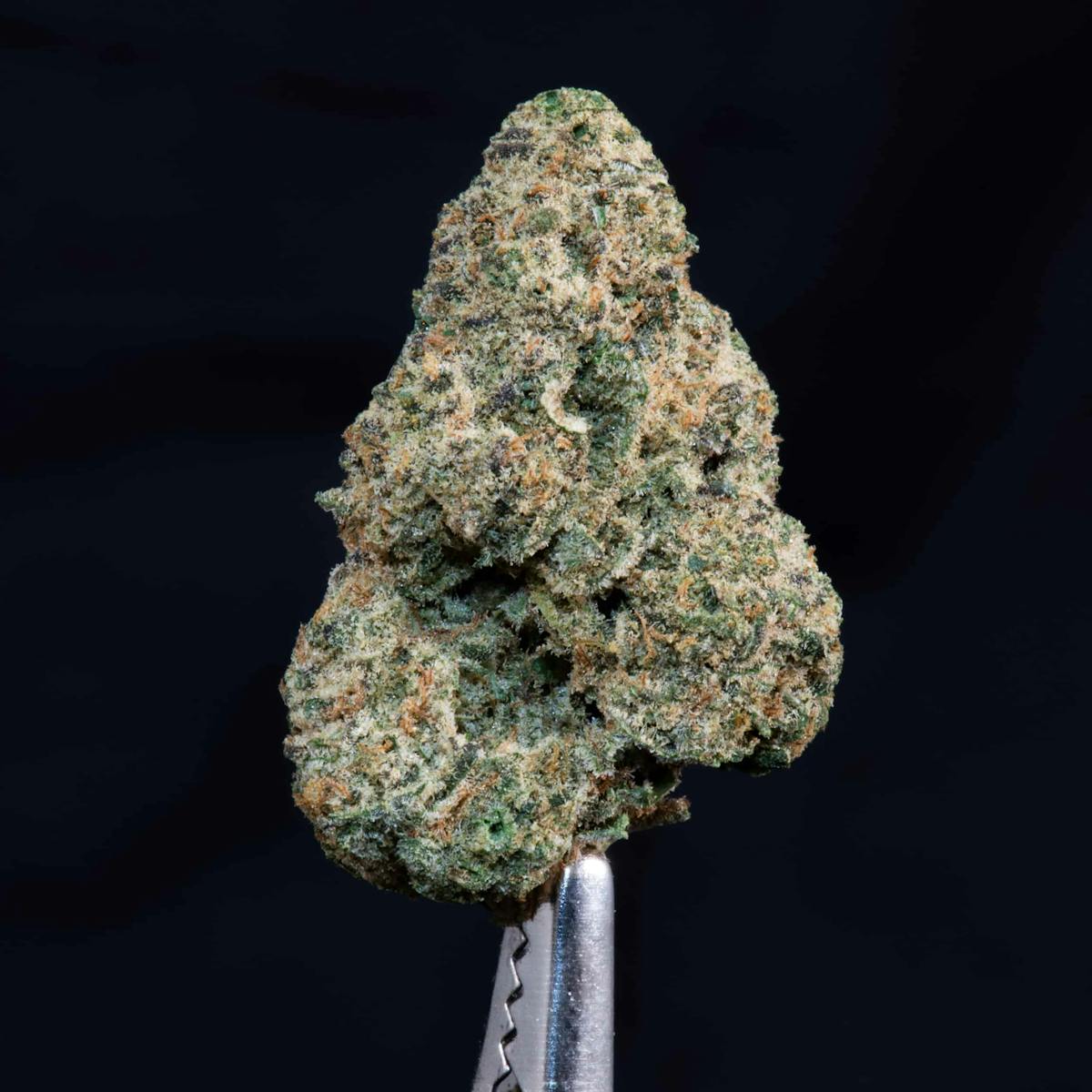 Image of Lemon Moonshine | 3.5g Prepackaged Flower