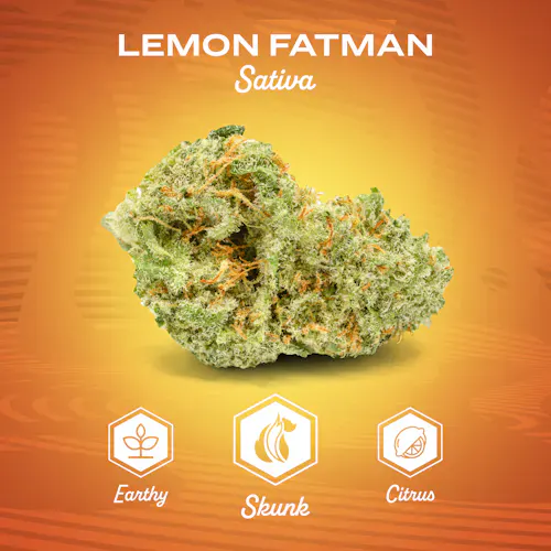 Lemon Fatman | 7g-1