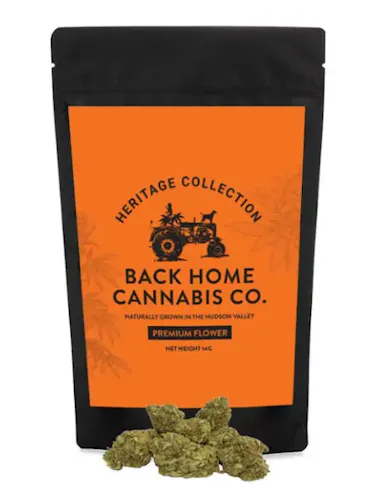 Acapulco Gold | Indoor Flower | 14g-1